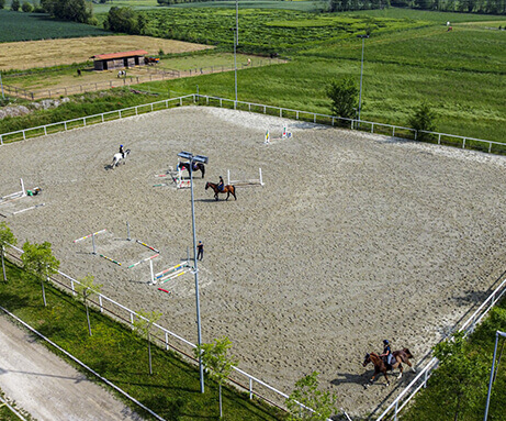 Horse Planet Garda Lake