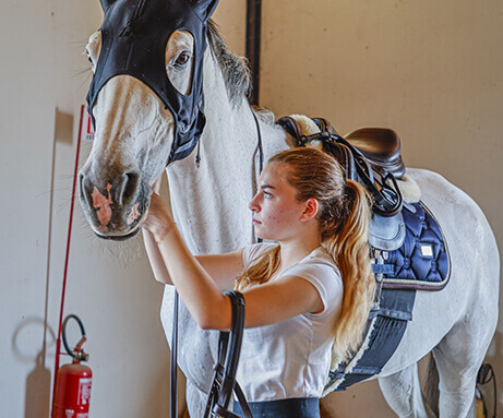 Horse Planet Garda Lake