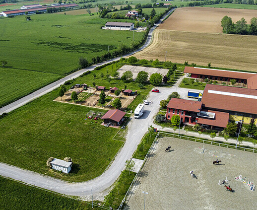 Horse Planet Garda Lake