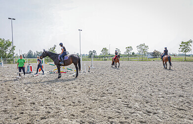 Horse Planet Garda Lake
