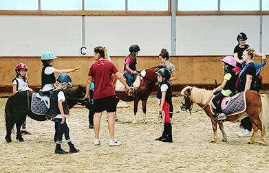 Horse Planet Garda Lake